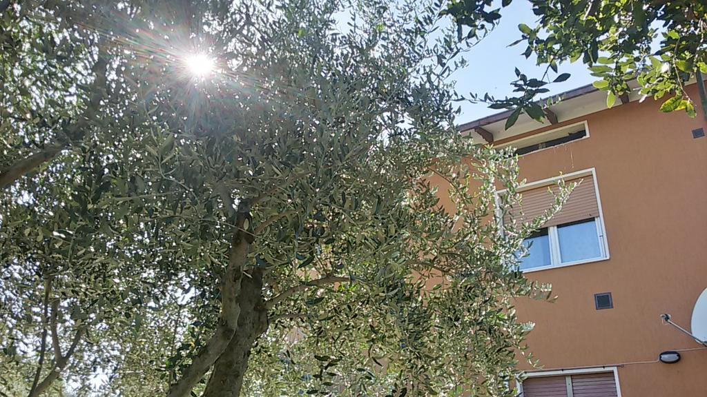 Apartament Il Borghetto San Lorenzo in Campo Zewnętrze zdjęcie